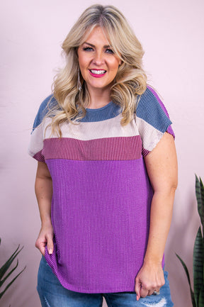 Keep you Guessing Plum/Multi Color Ribbed Striped Top - T10049PL