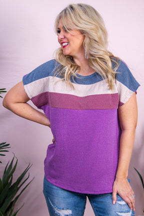 Keep you Guessing Plum/Multi Color Ribbed Striped Top - T10049PL