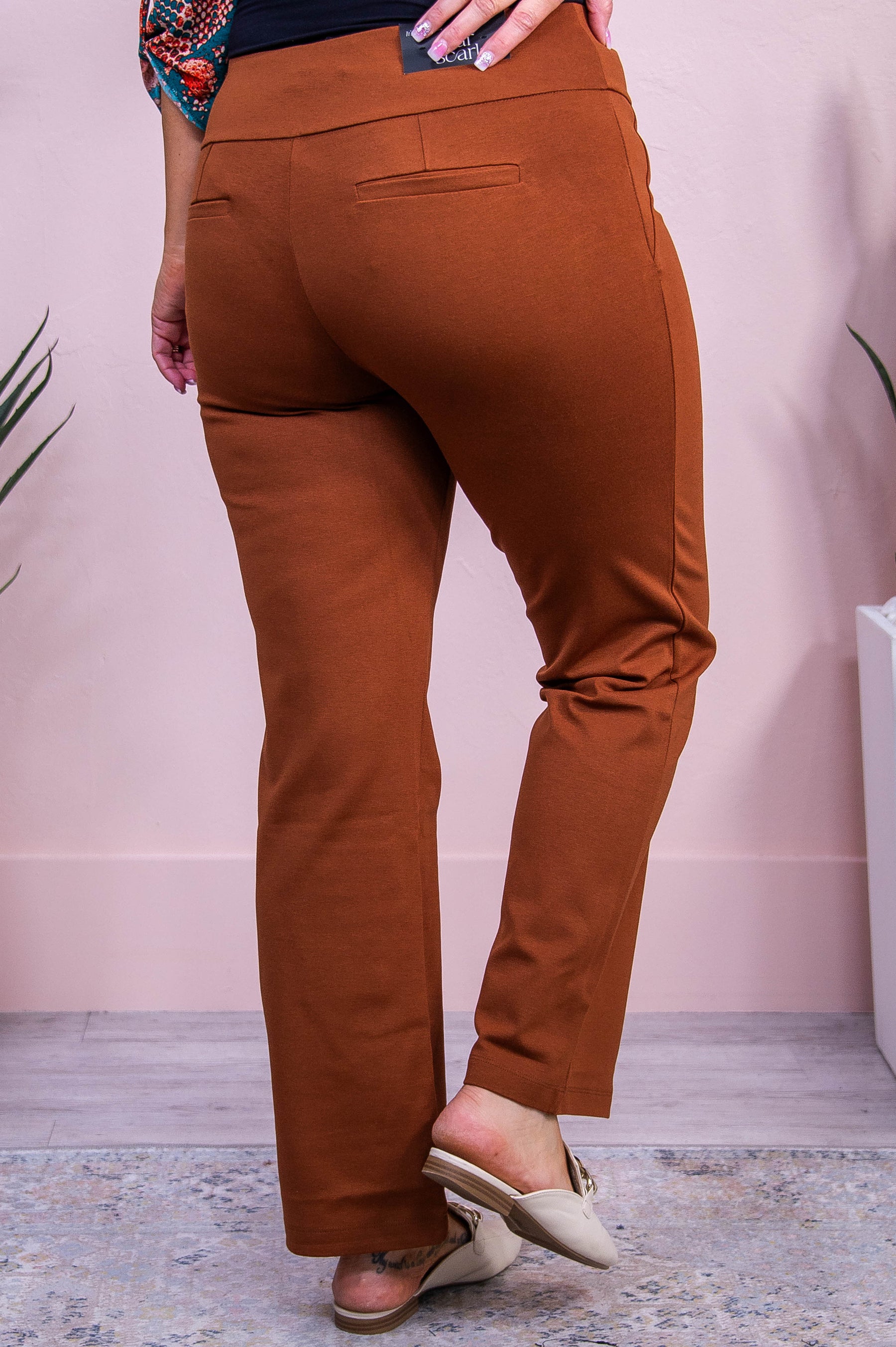 Under Autumn Skies Rust Solid Pants - PNT1675RU