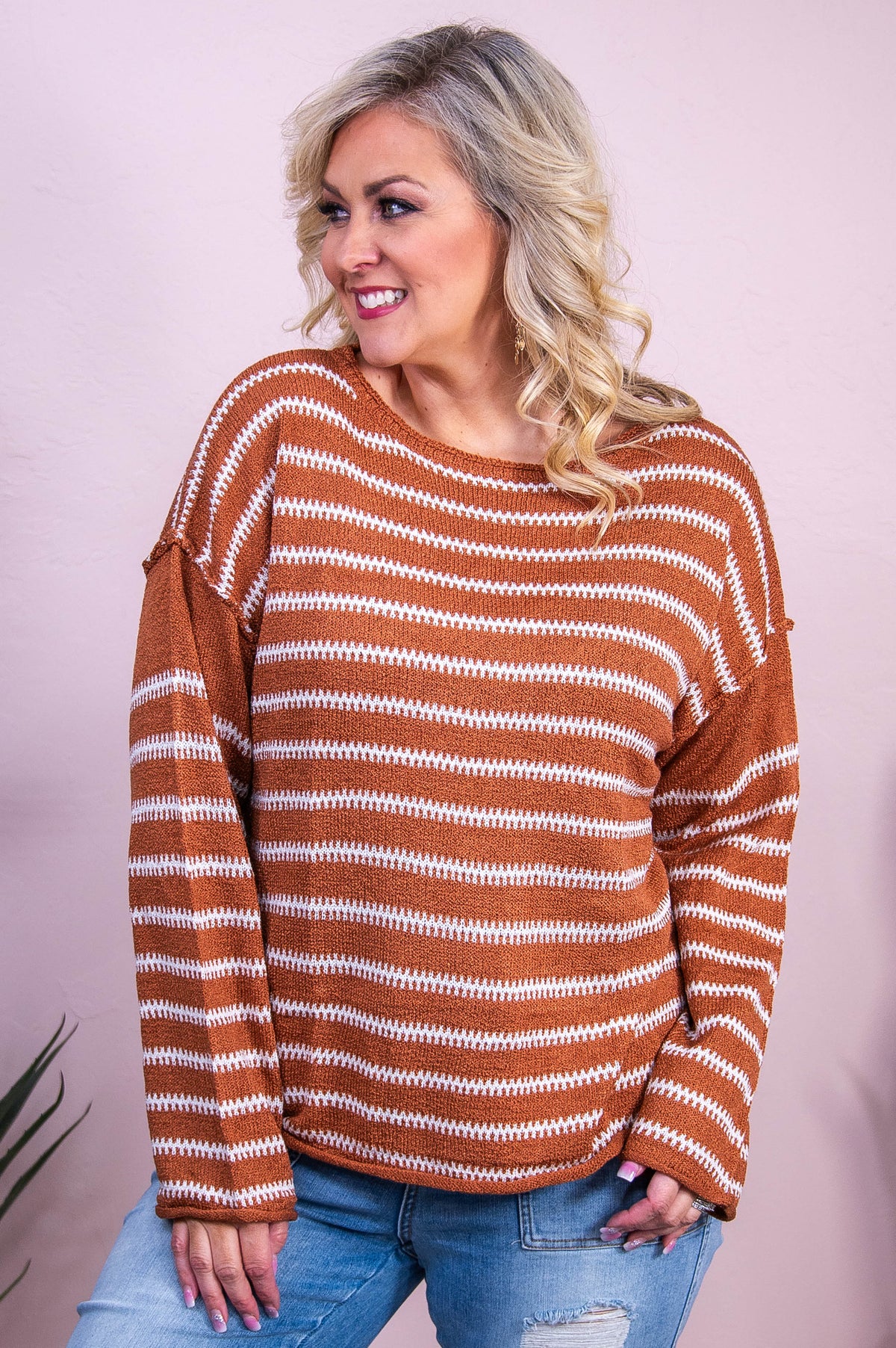 Time Will Tell Brown/White Striped Knitted Top - T10305BR