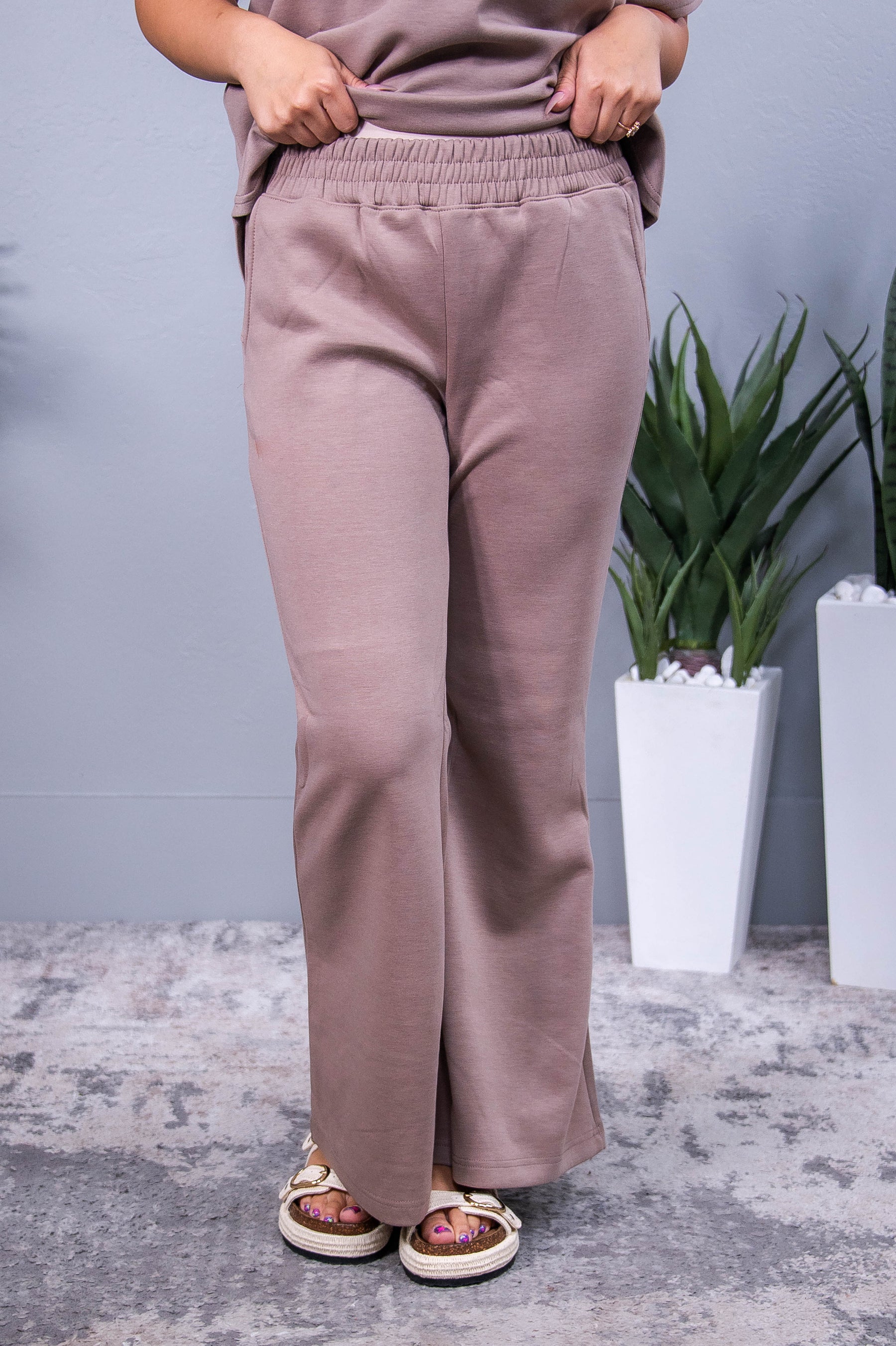 Travel Collection Paris Light Mocha Solid Pants - PNT1728LMO