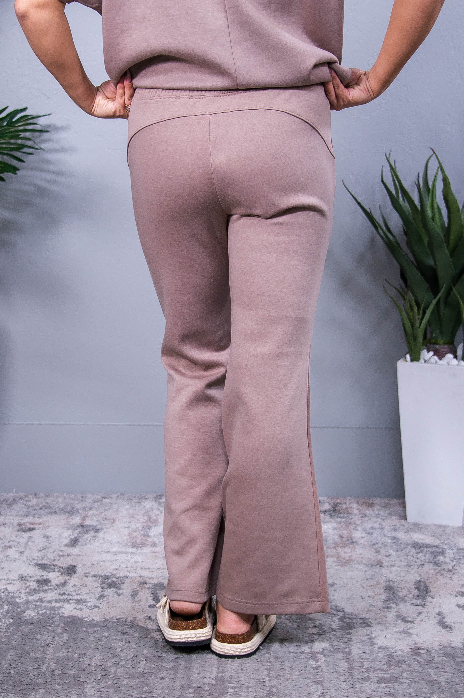 Travel Collection Paris Light Mocha Solid Pants - PNT1728LMO