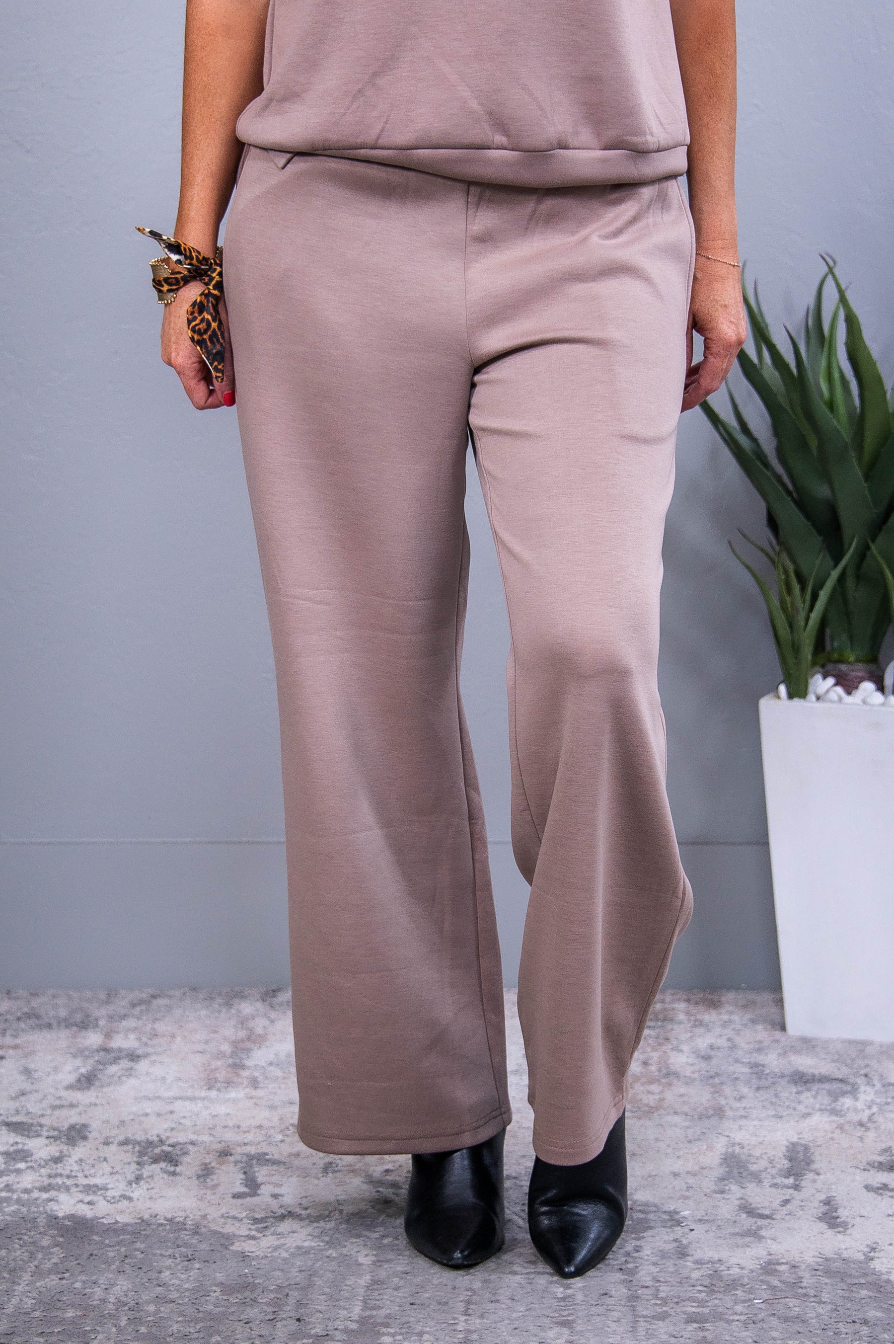 Travel Collection Catalina Light Mocha Solid Pants - PNT1738LMO