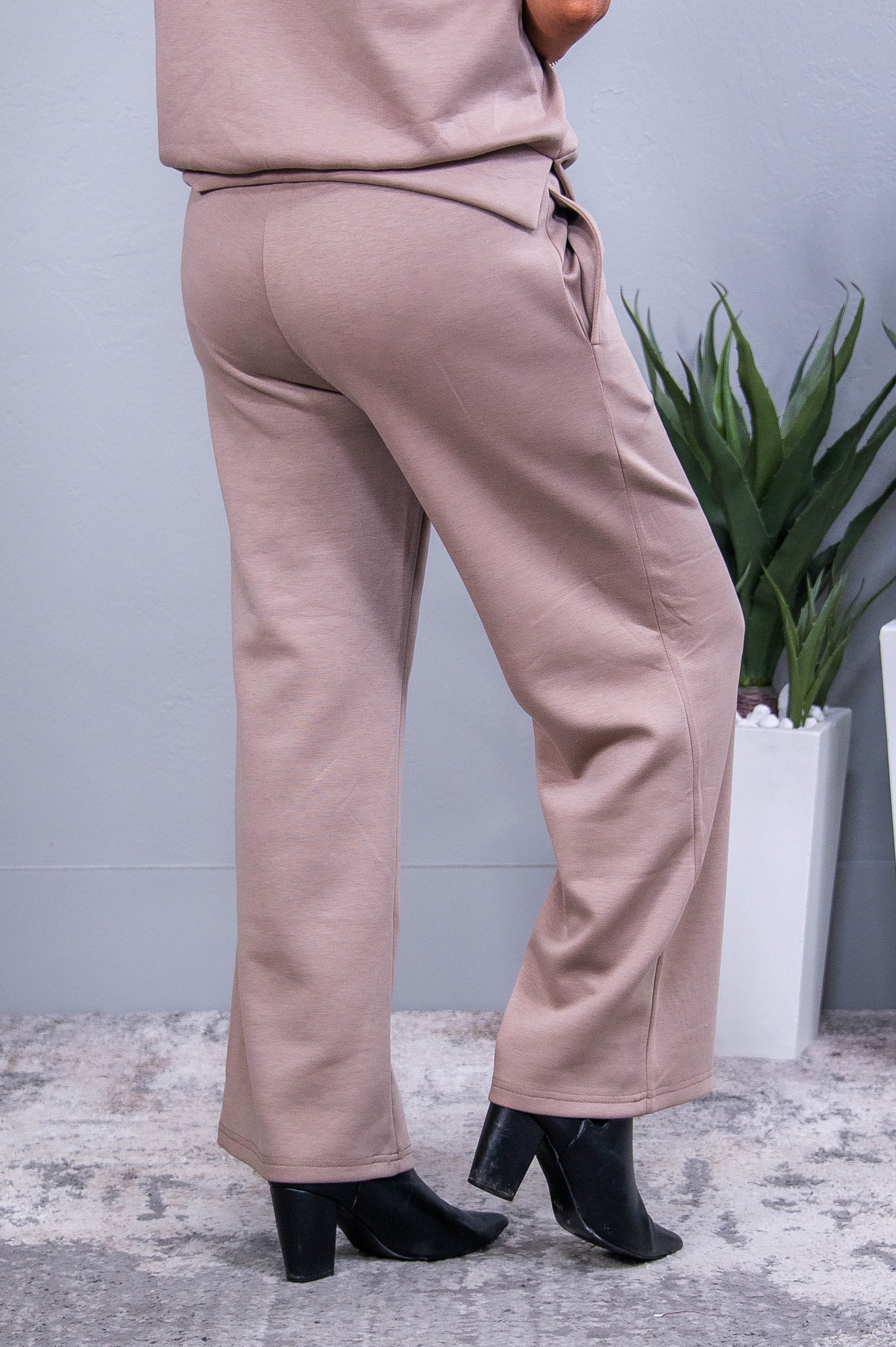 Travel Collection Catalina Light Mocha Solid Pants - PNT1738LMO