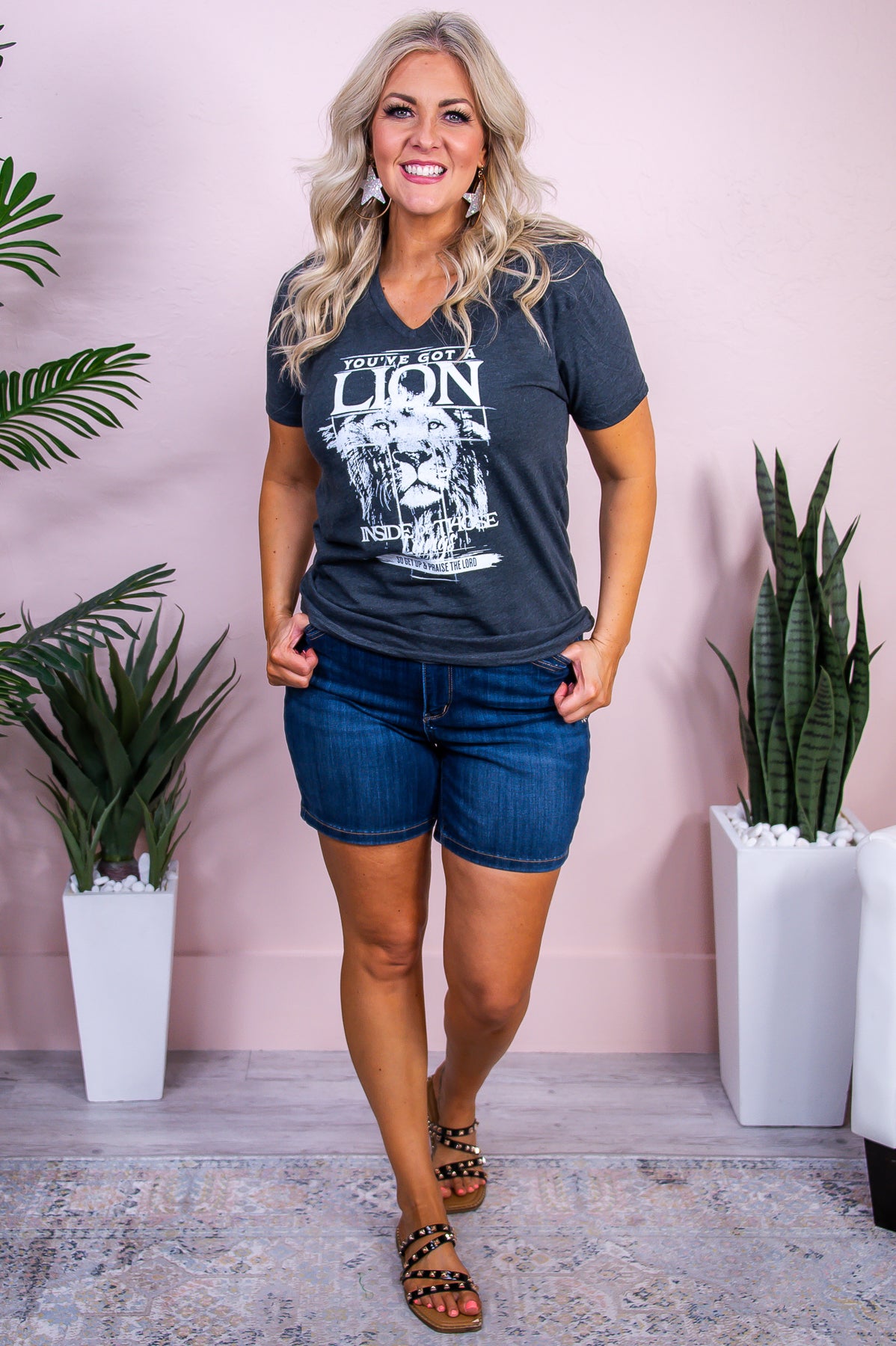 You've Got A Lion Dark Heather Gray Graphic Tee - A3415DGH